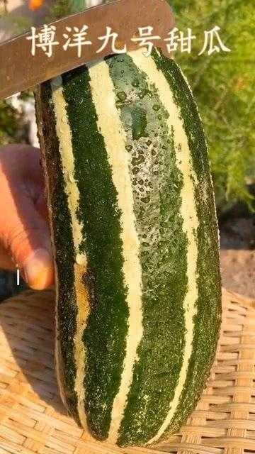 济南恒大的瓜吃没吃,揭秘真相，你吃了吗？