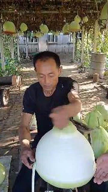 老大吃瓜和老二吃瓜,老大老二共享瓜果时光