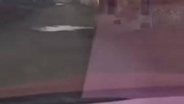 曲阳吃瓜大事件,揭秘网络舆论背后的真相与反思