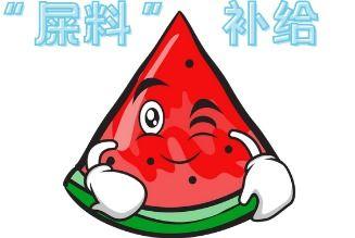 大型吃瓜现场圆满,全民围观，精彩瞬间盘点