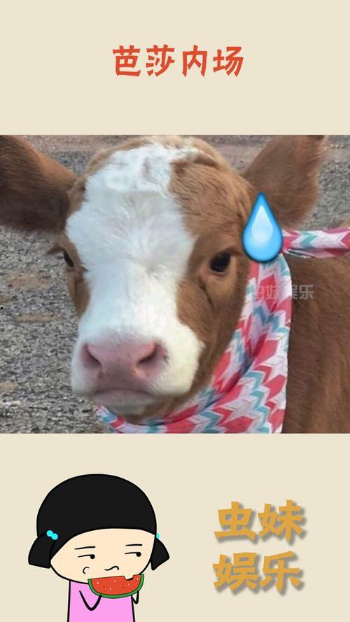 门卫吃瓜抖音,揭秘日常生活中的趣味瞬间