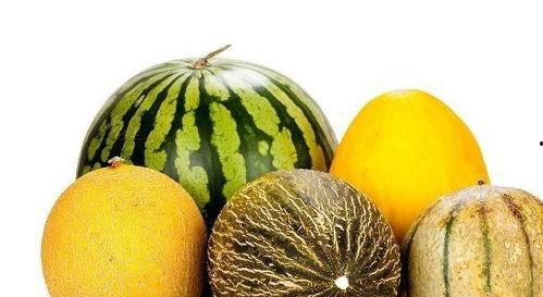 做梦老是吃瓜,瓜果飘香，梦回瓜田