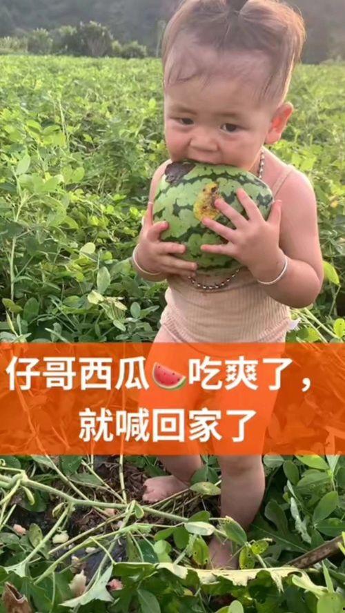 这瓜吃爽了,这瓜吃爽了！