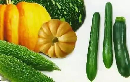 幼虎吃瓜,探索野生动物的味蕾之旅