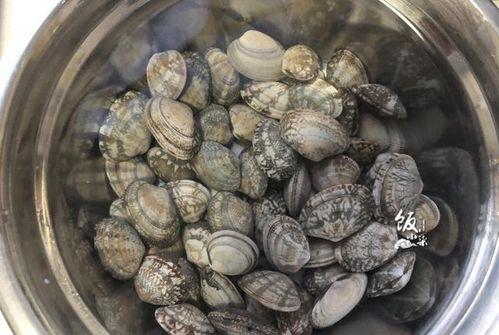 女人每天吃几片瓜好,女性每日食用瓜片的最佳指南