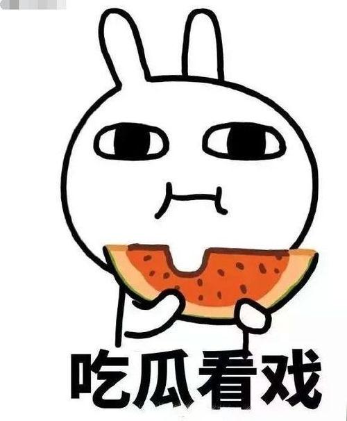 暖暖吃瓜后续,揭秘娱乐圈背后的秘密与真相