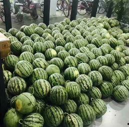 聊城某学校天台吃瓜,校园奇观引热议