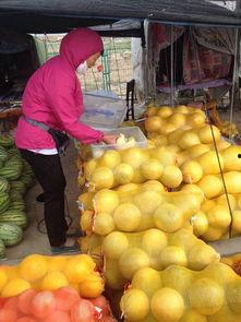 甘肃吃瓜视频,揭秘当地特色美食与风土人情