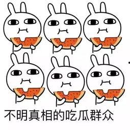 吃瓜哲学,洞察世间百态的智慧视角