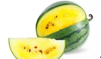 吃瓜好位置,畅享夏日清凉，尽享人间烟火