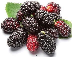 蓟县吃瓜视频,揭秘当地特色美食与风土人情