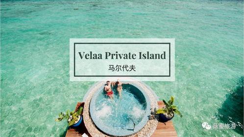 岛屿吃瓜快乐生活