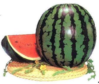 饭后又吃瓜,美食与休闲的完美结合