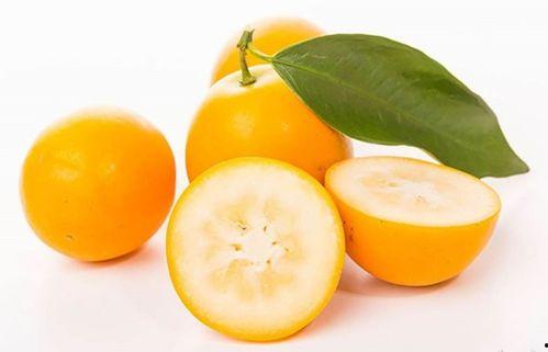 吃小金桔能吃方瓜吗